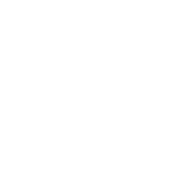 Ayoub Naseri